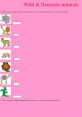 Domestic Animals Pictures With Names For Kids