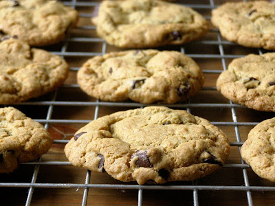 Double Chocolate Chip Cookies Recipe Bbc