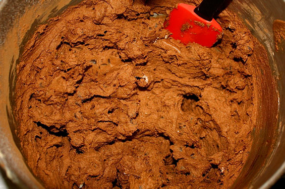 Double Chocolate Chip Cookies Recipe Easy