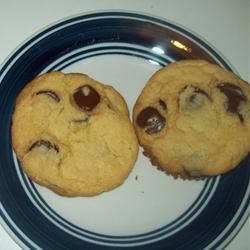 Double Chocolate Chip Cookies Recipe Easy