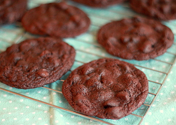 Double Chocolate Chip Cookies Recipe Easy