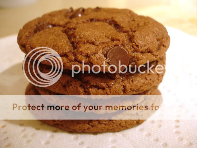 Double Chocolate Chip Cookies Recipe For Kids