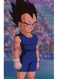 Dragon Ball Gt Vegeta Jr