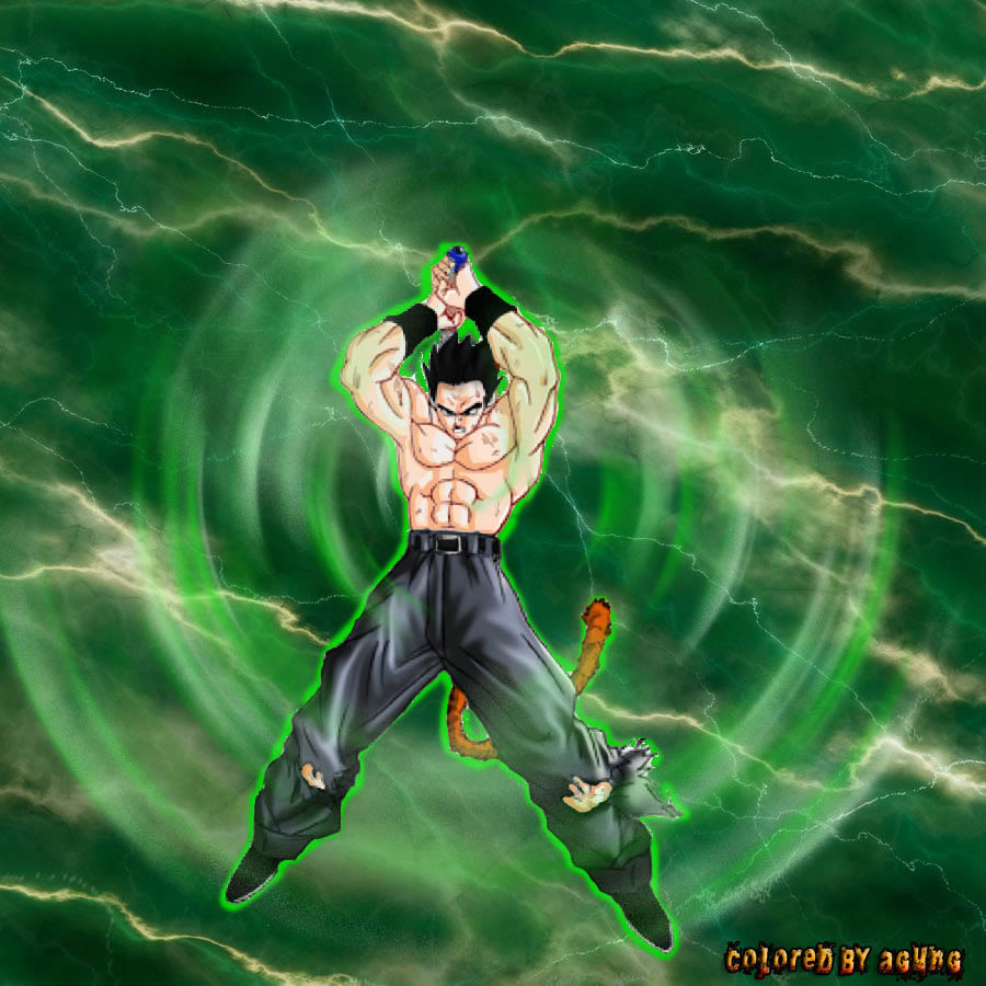 Dragon Ball Z Af Gohan