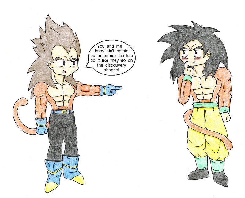 Dragon Ball Z Characters Goku And Vegeta