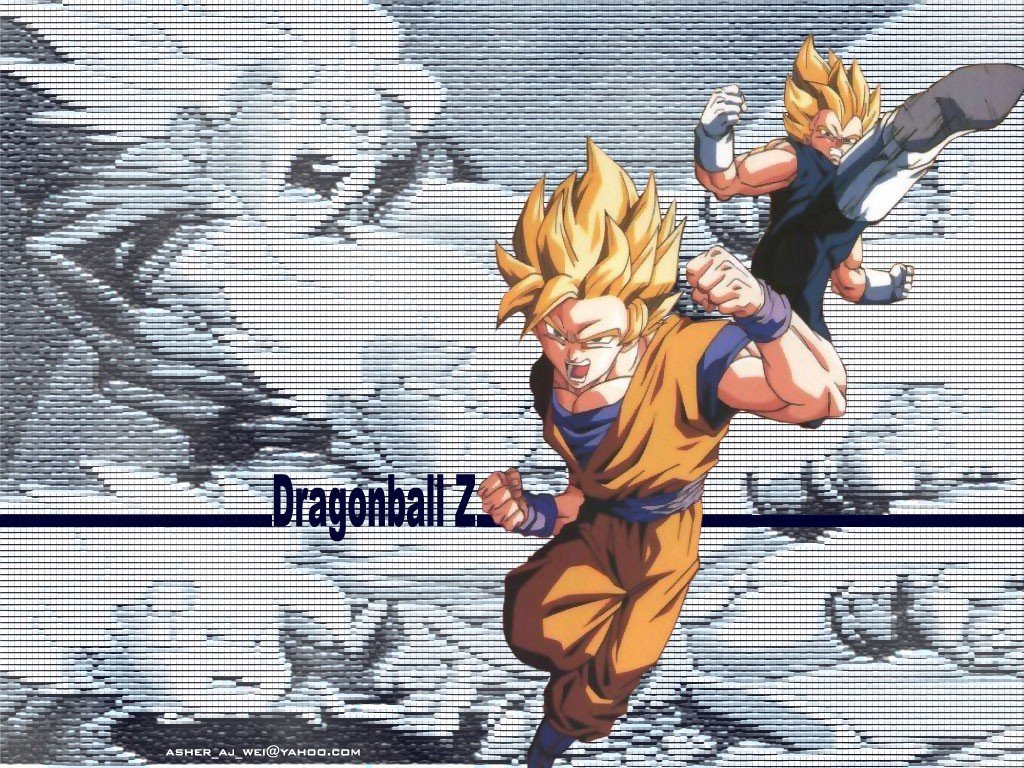 Dragon Ball Z Goku And Vegeta Fighting