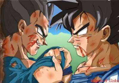 Dragon Ball Z Goku And Vegeta Fighting