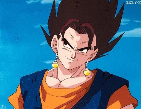 Dragon Ball Z Goku And Vegeta Fusion