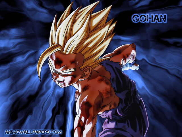 Dragon Ball Z Wallpaper Hd Gohan