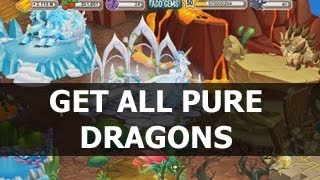 Dragon City Breeding Guide Pure Dragon