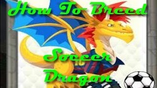 Dragon City Breeding List Soccer Dragon