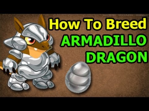 Dragon City Breeding Soccer Dragon And Armadillo