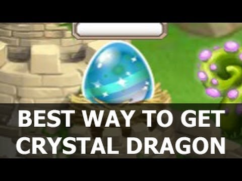 Dragon City Eggs Breeding Combinations