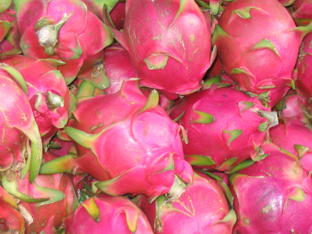 Dragon Fruit