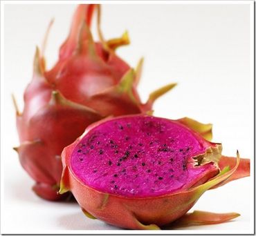 Dragon Fruit Cactus Care