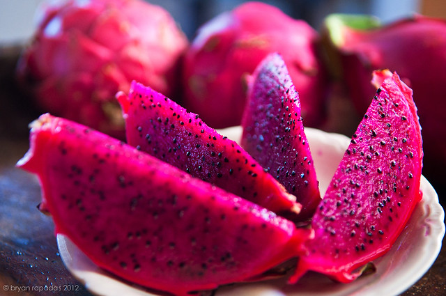 Dragon Fruit Farm Burgos