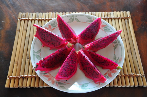 Dragon Fruit Farm Ilocos