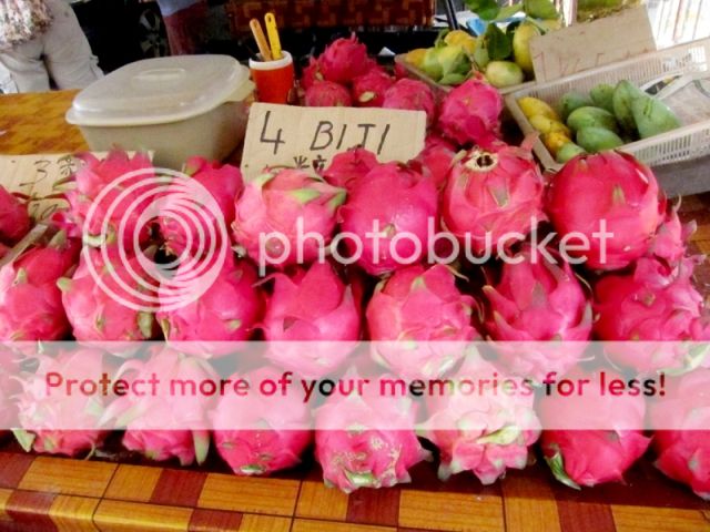 Dragon Fruit Farm Tanjung Sepat