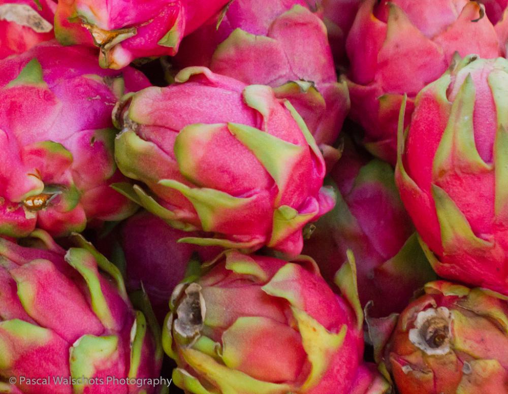 Dragon Fruit Flower Parts