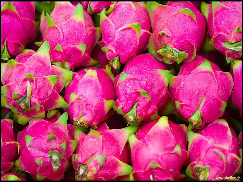 Dragon Fruit Fruit Ninja