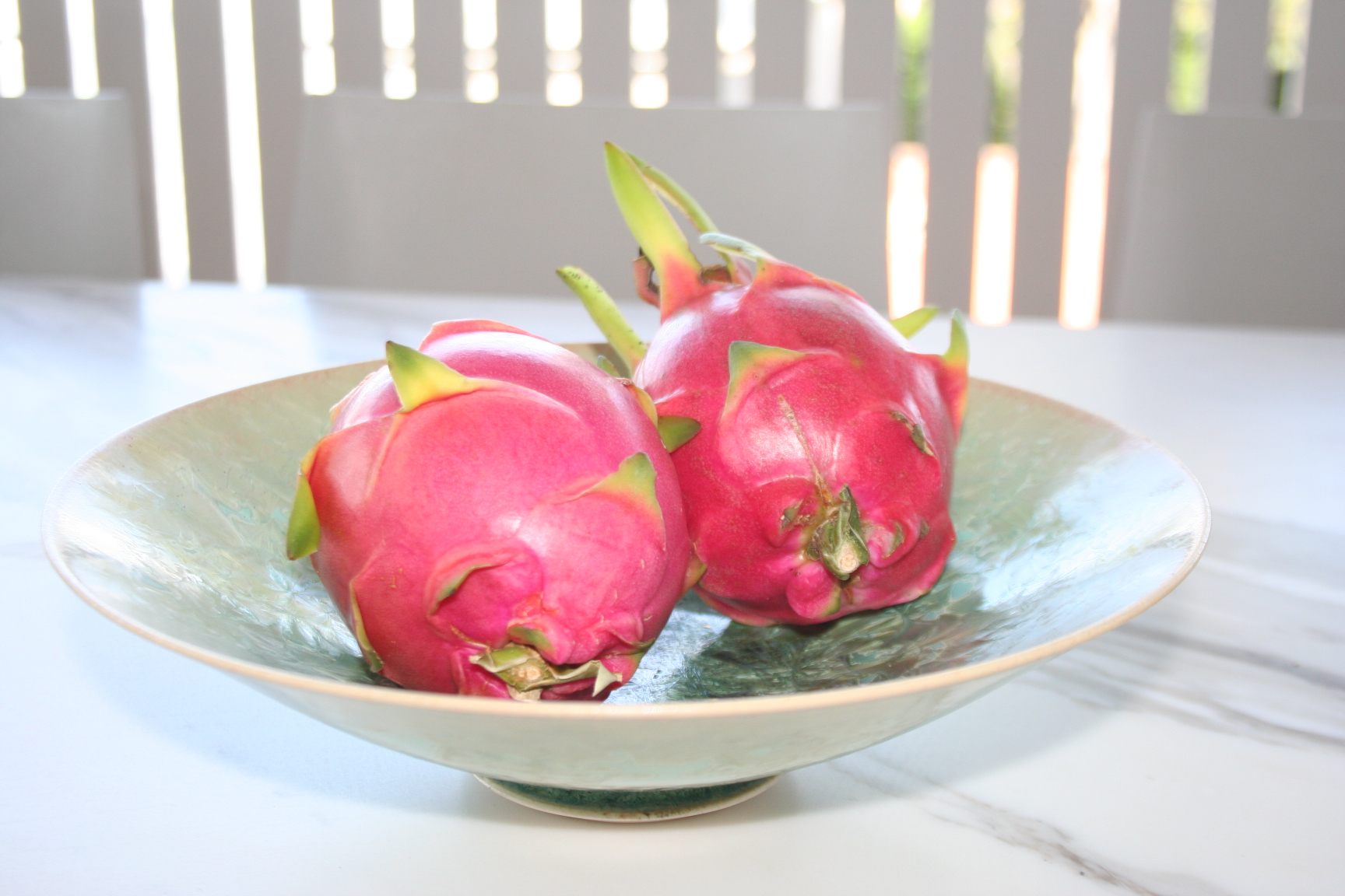 Dragon Fruit Plant How To Grow