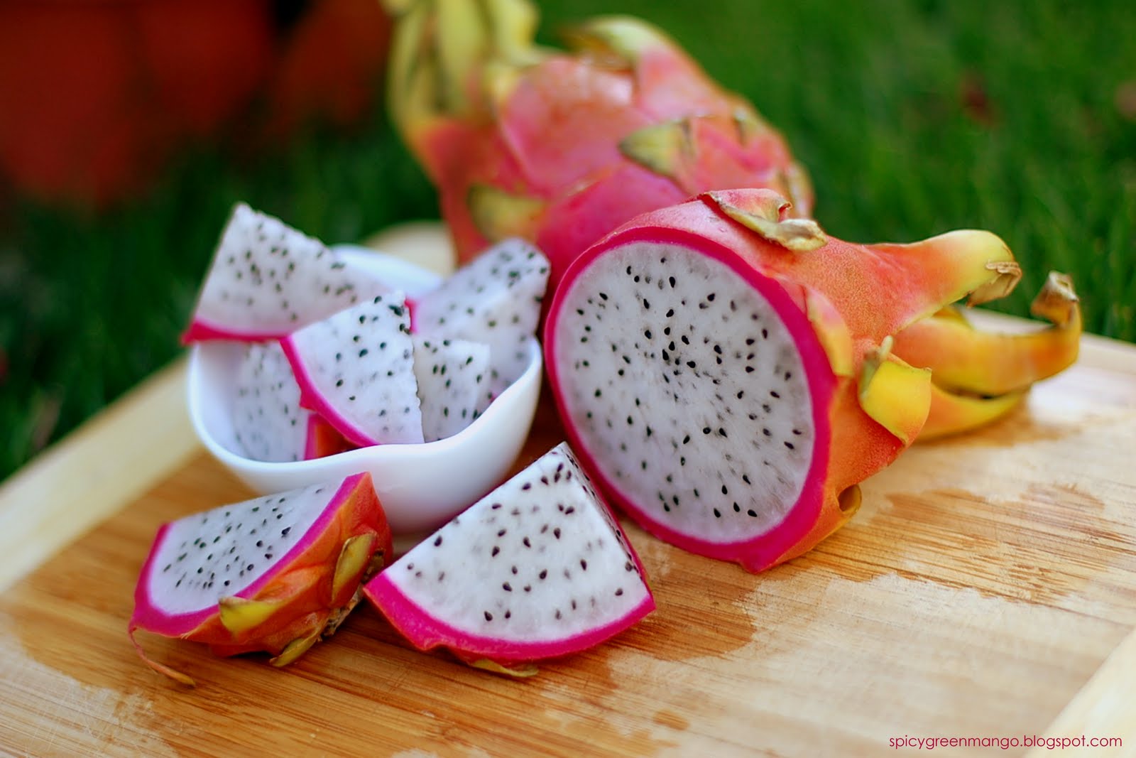 Dragon Fruit Tree