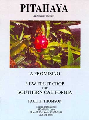 Dragon Fruit Tree For Sale Florida