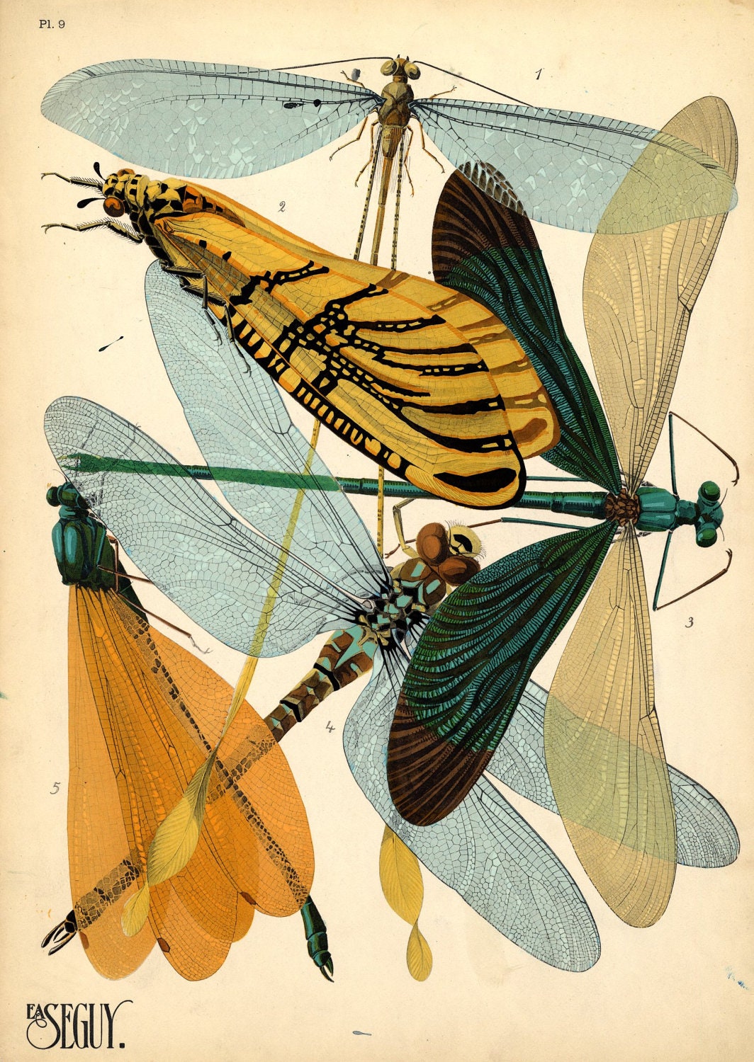 Dragonfly Art Nouveau