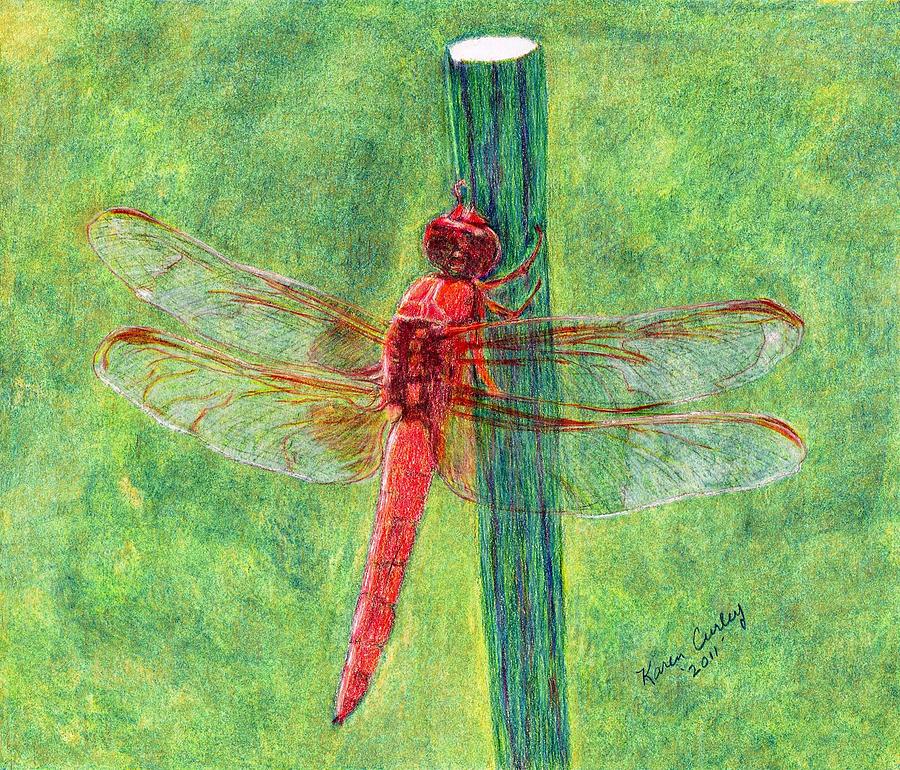 Dragonfly Artwork