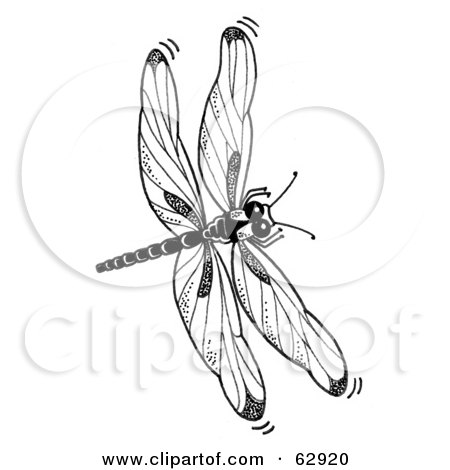 Dragonfly Clipart Black And White