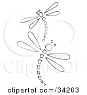 Dragonfly Clipart Black And White