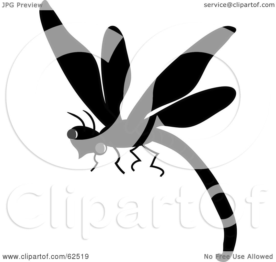 Dragonfly Clipart Black And White