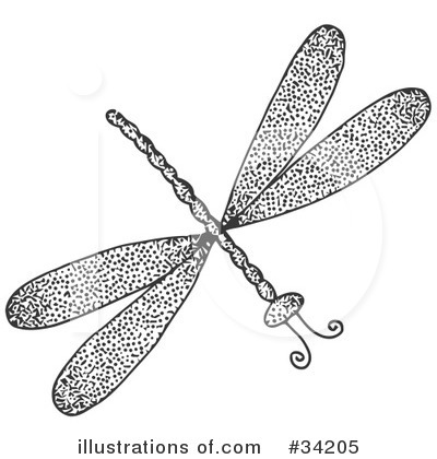 Dragonfly Clipart Black And White