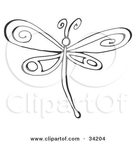 Dragonfly Clipart Images