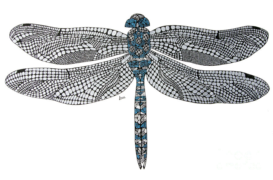 Dragonfly Drawing