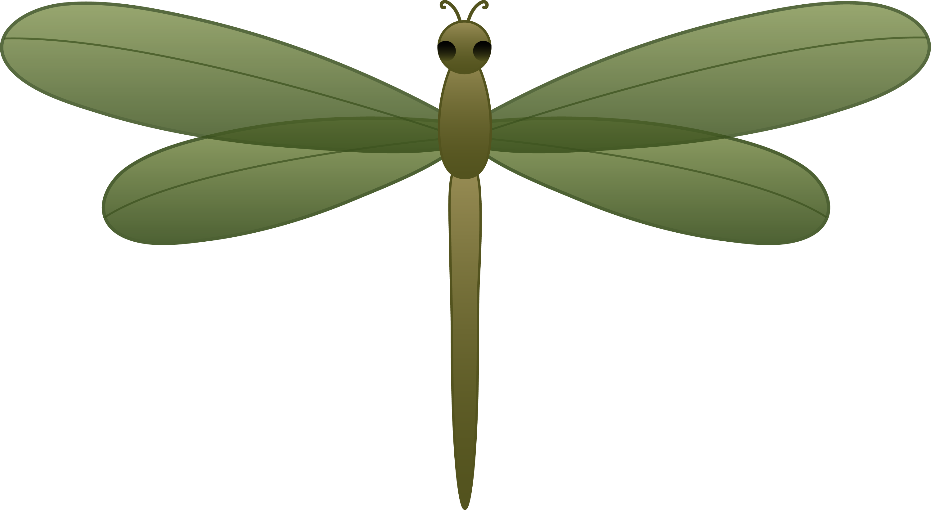 Dragonfly Drawing