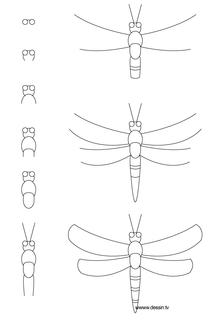 Dragonfly Drawing