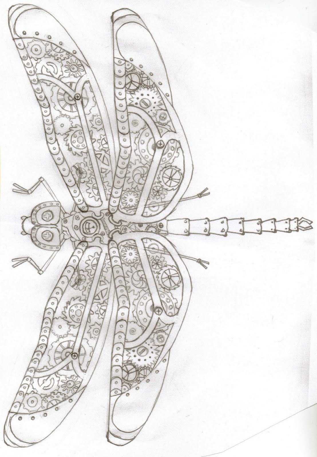 Dragonfly Drawing