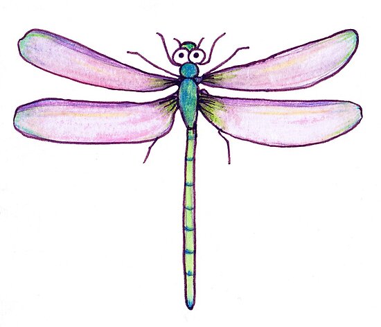 Dragonfly Drawing Images