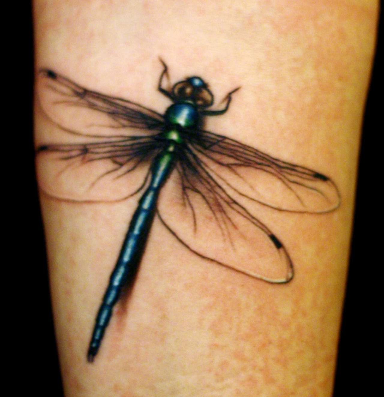 Dragonfly Drawing Tattoo