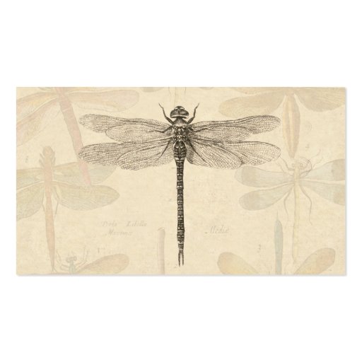 Dragonfly Drawing Template