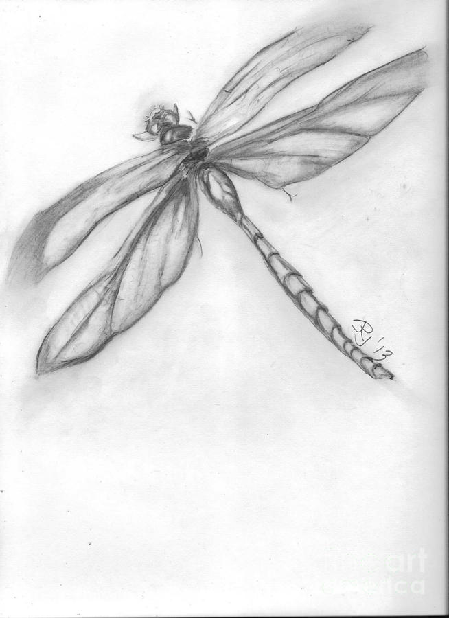 Dragonfly Drawings With Flowers