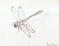 Dragonfly Drawings With Flowers