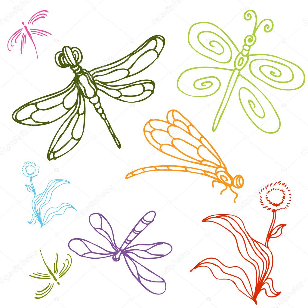 Dragonfly Drawings With Flowers