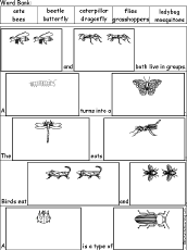 Dragonfly Life Cycle Diagram