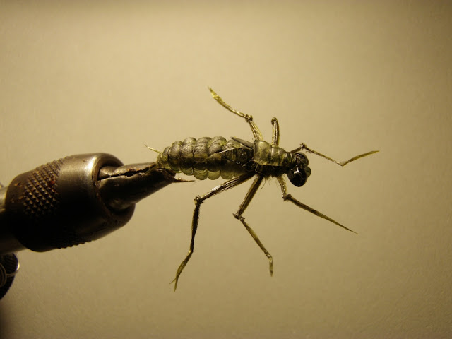 Dragonfly Nymph Fly