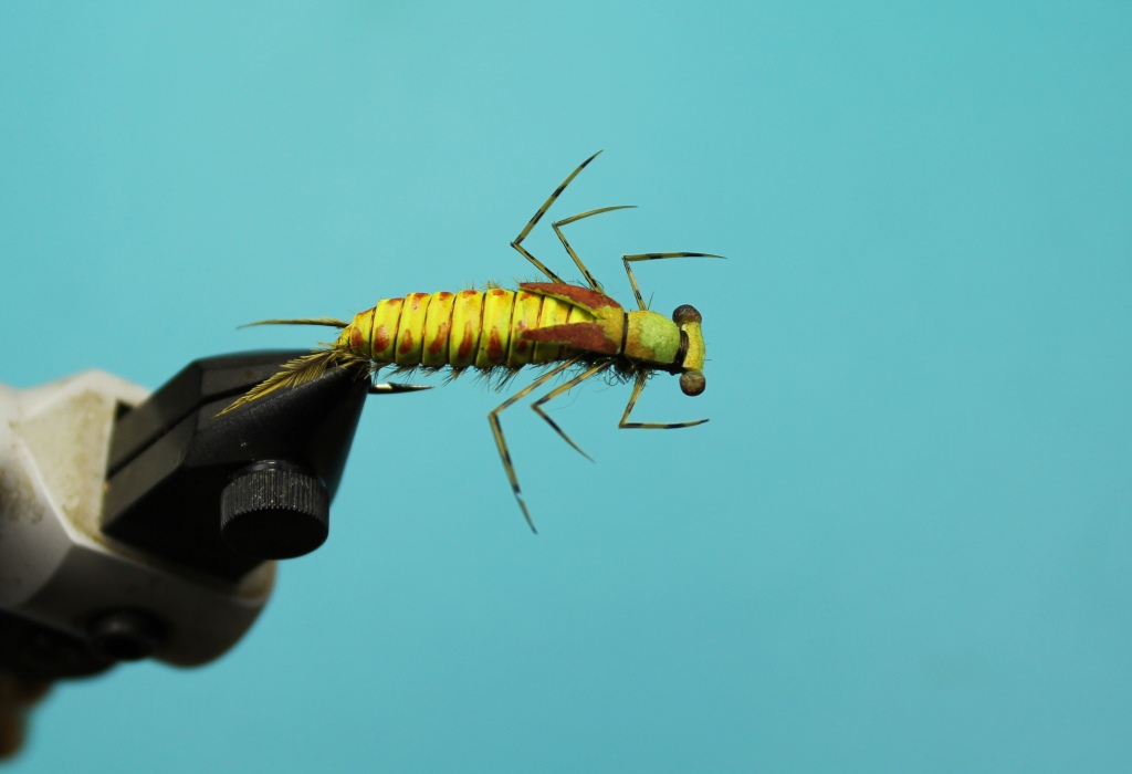 Dragonfly Nymph Fly