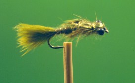 Dragonfly Nymph Fly Pattern