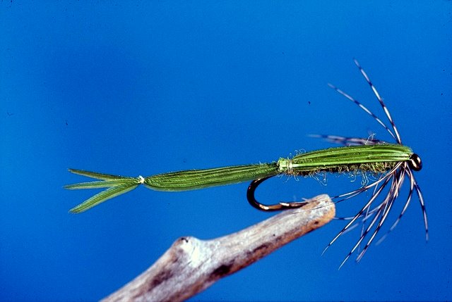 Dragonfly Nymph Pattern