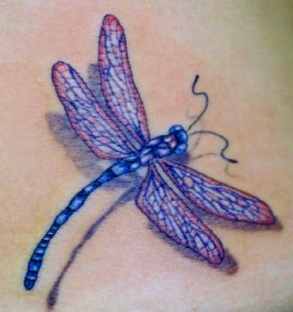 Dragonfly Pictures